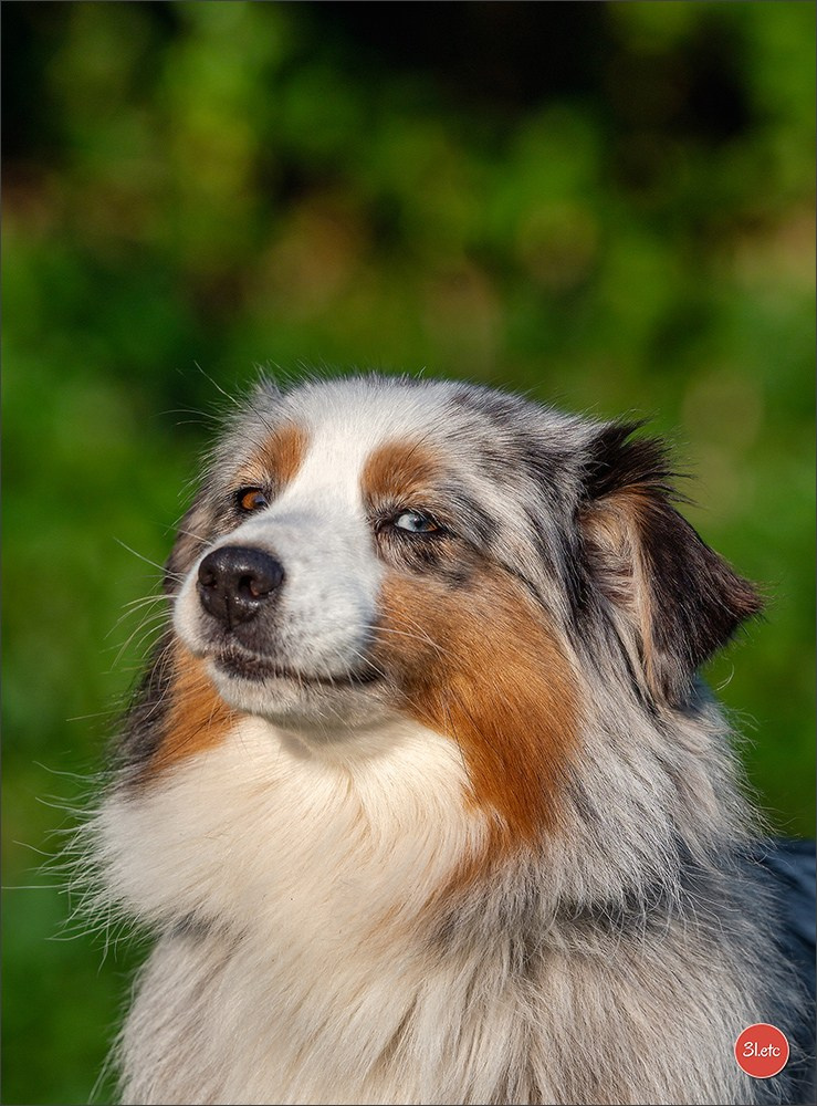 Domaine de la patte blanche. Photographe à Strasbourg | Portraits, Studio, Enfants, Événements