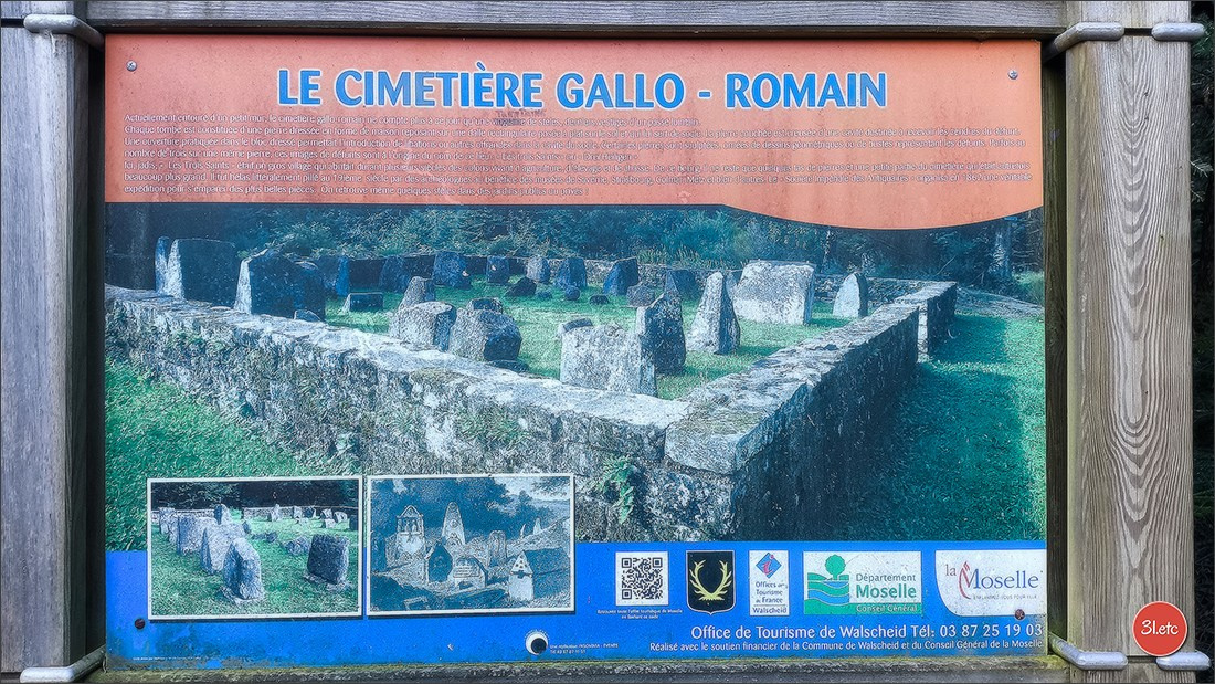 Une forêt, un rocher et un cimetière gallo-romain. Photographe à Strasbourg | Portraits, Studio, Enfants, Événements