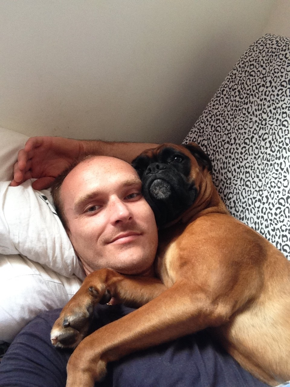 My ״Star״ Boxer Dog