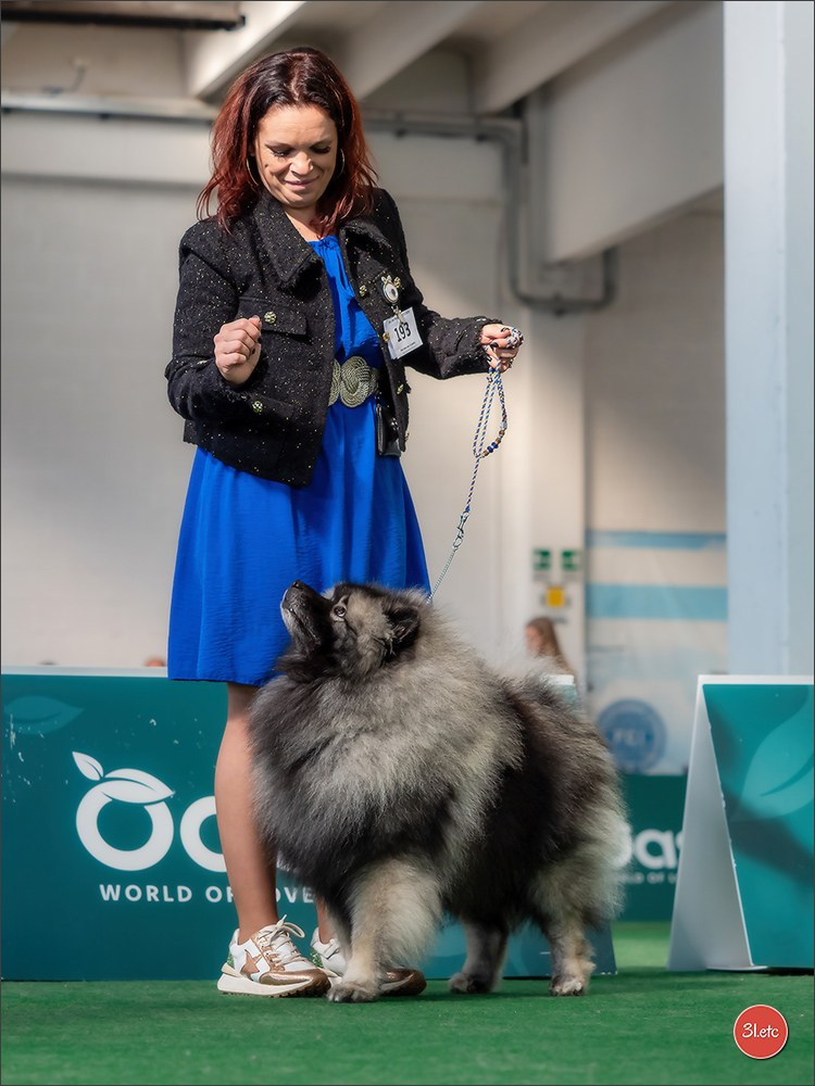 Dog Show  🇮🇹  San Marino. Photographe à Strasbourg | Portraits, Studio, Enfants, Événements