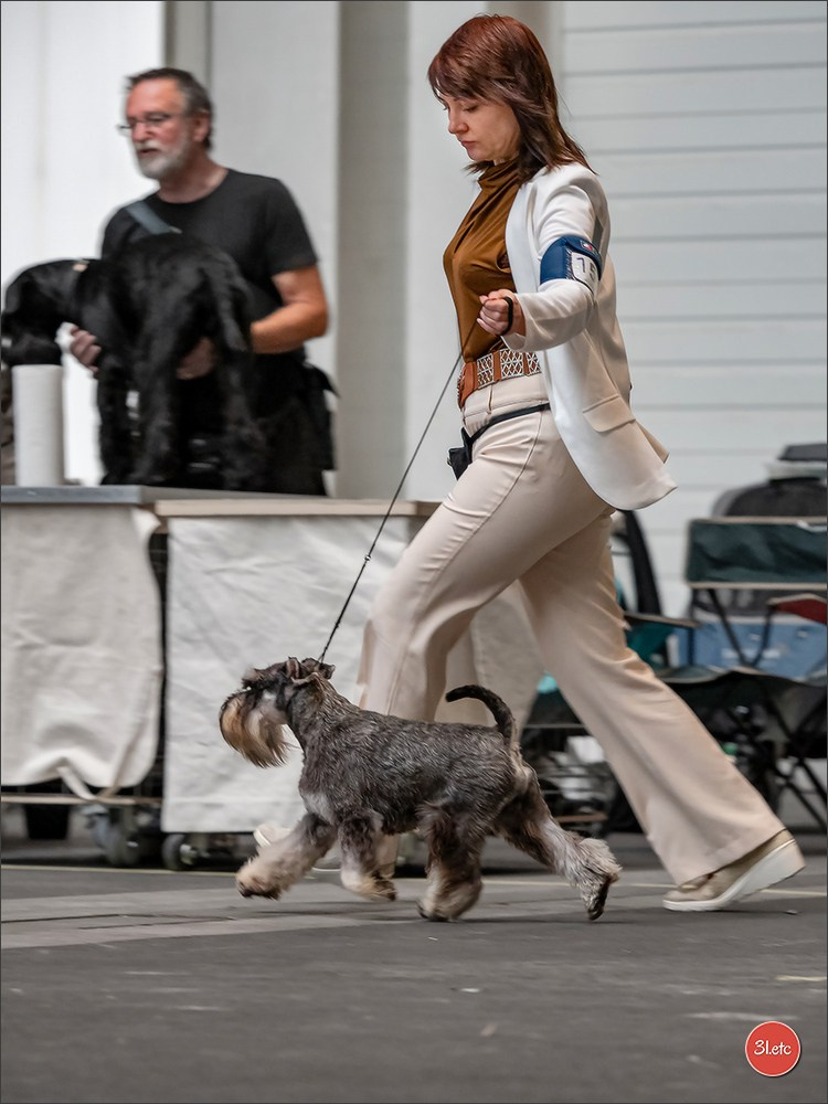 🇨🇭 Geneva 03-05.10.2025 🇨🇭. Photographe à Strasbourg | Portraits, Studio, Enfants, Événements