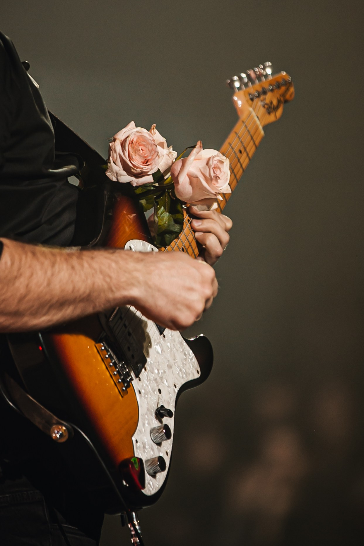 Скай. Репортажний фотограф/анімаліст КИЇВ