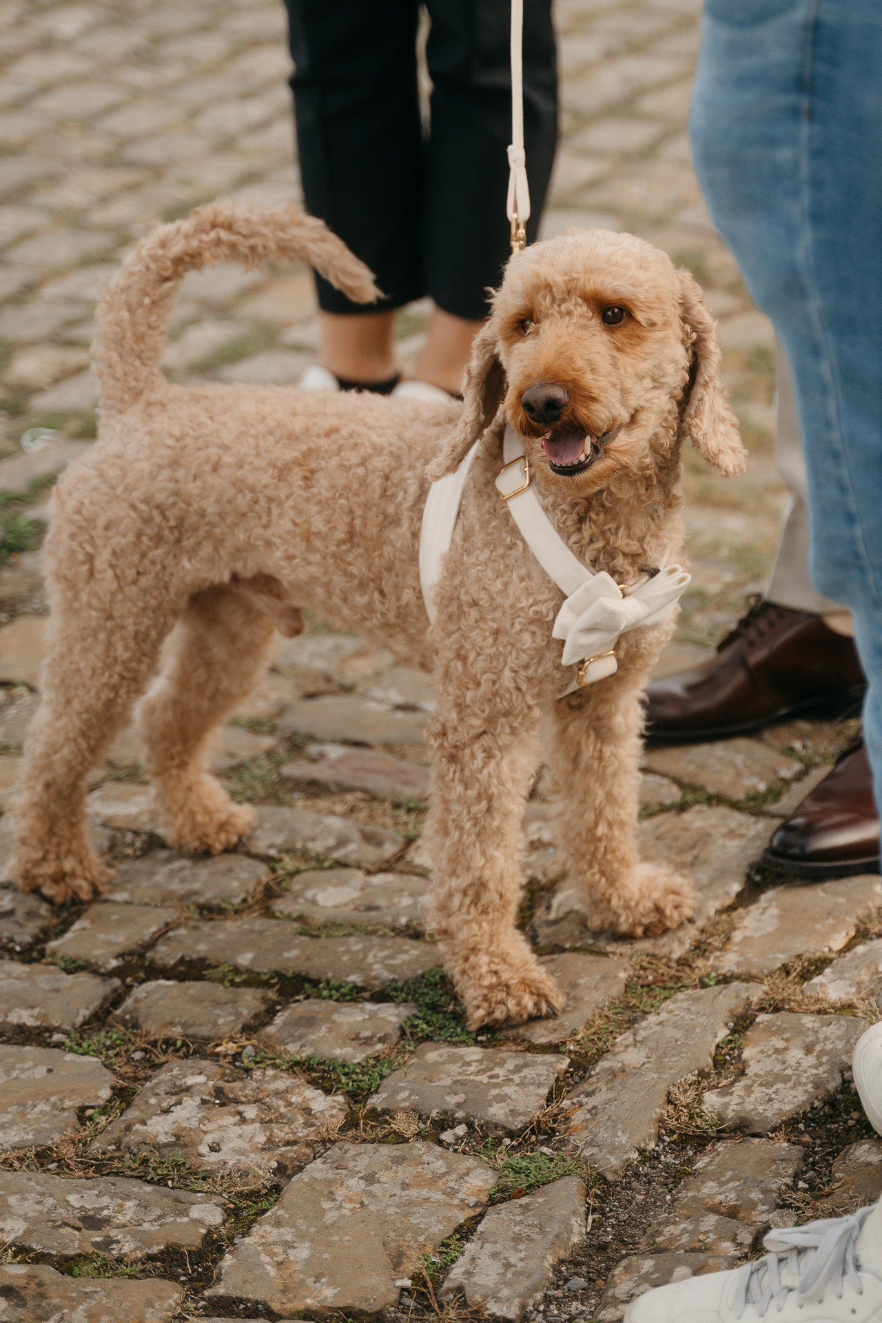 Schloss Solitude. Свадебный и семейный фотограф Алексей Попов. Штутгарт, Германия