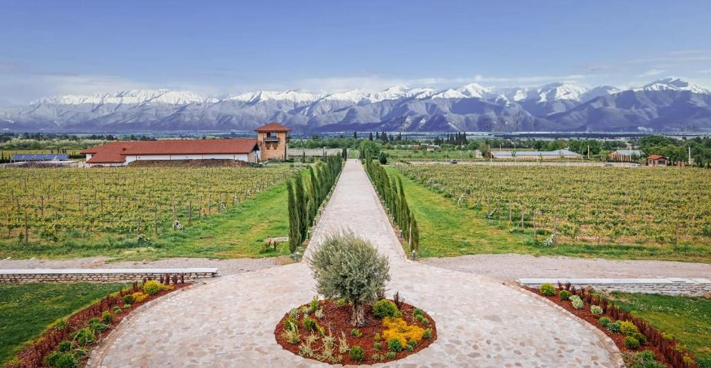 Château Mosmieri Hotel & Winery. Главная