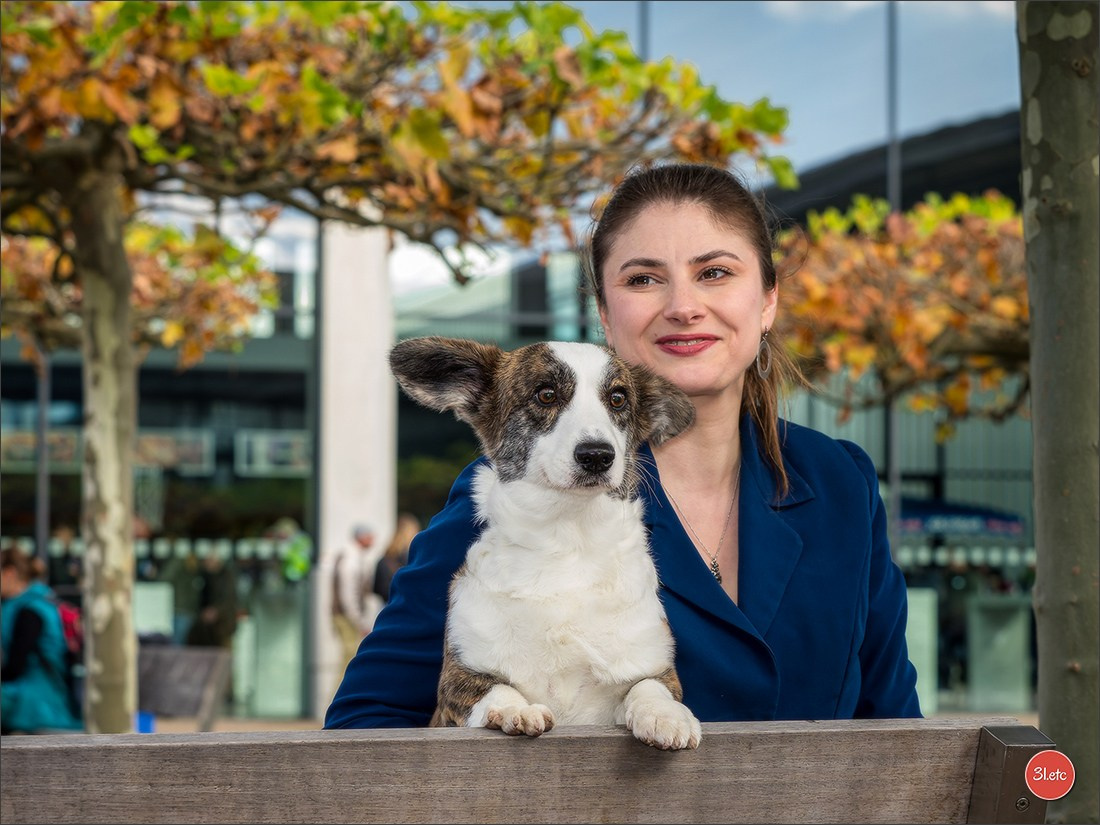 Dog Show in Karlsruhe 2023/11/11. Photographe à Strasbourg | Portraits, Studio, Enfants, Événements