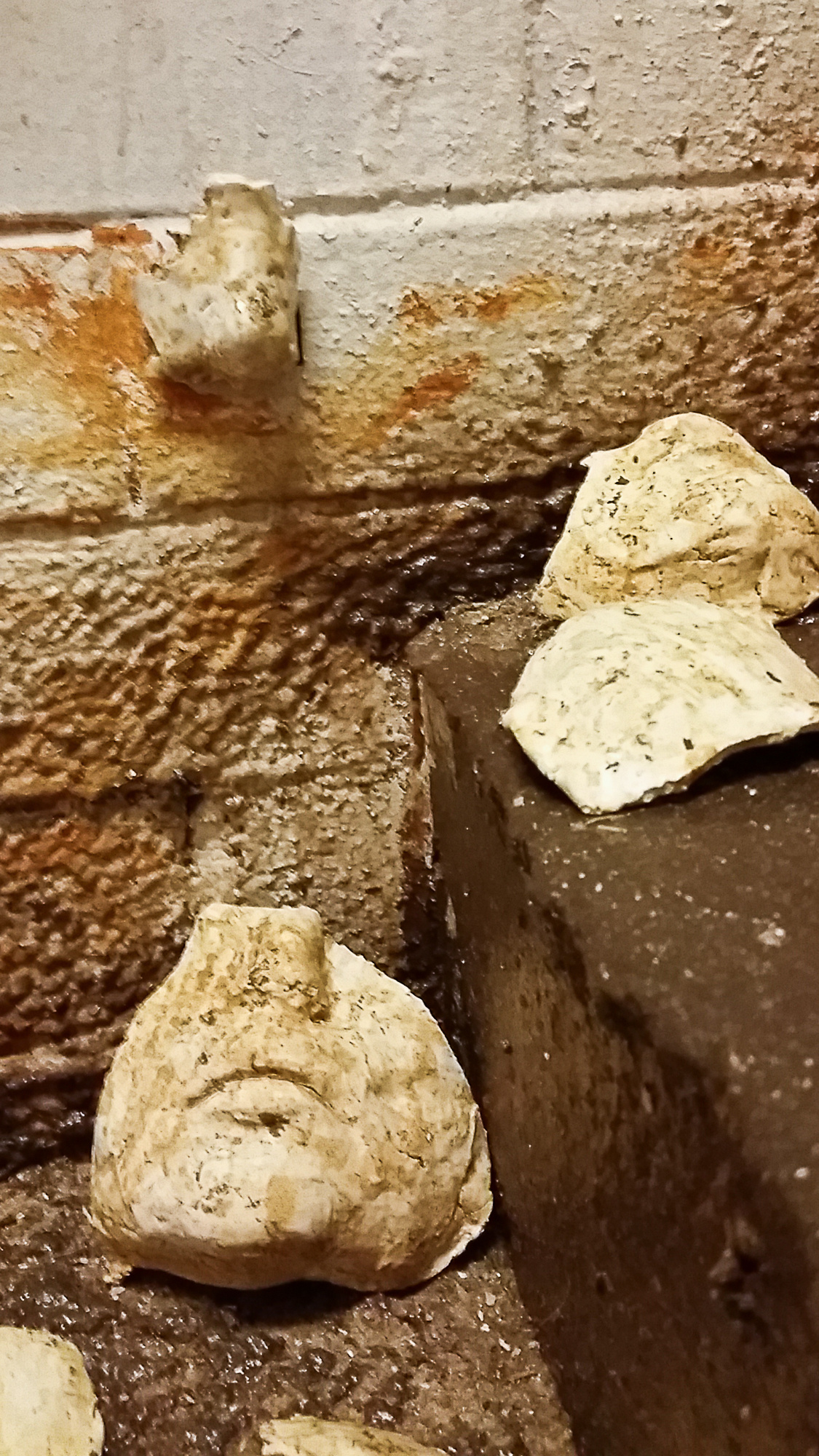 Archaeology of Myself. Home