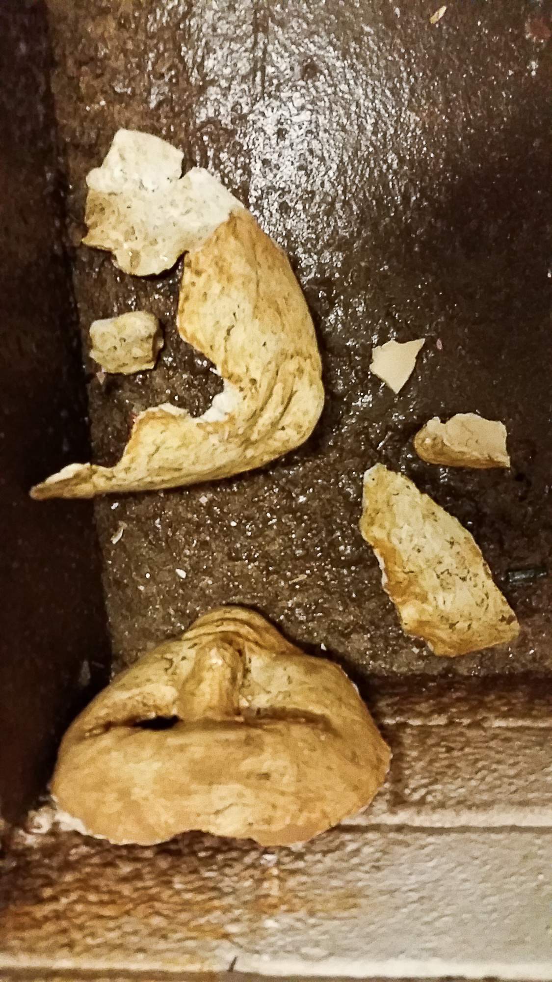 Archaeology of Myself. Home