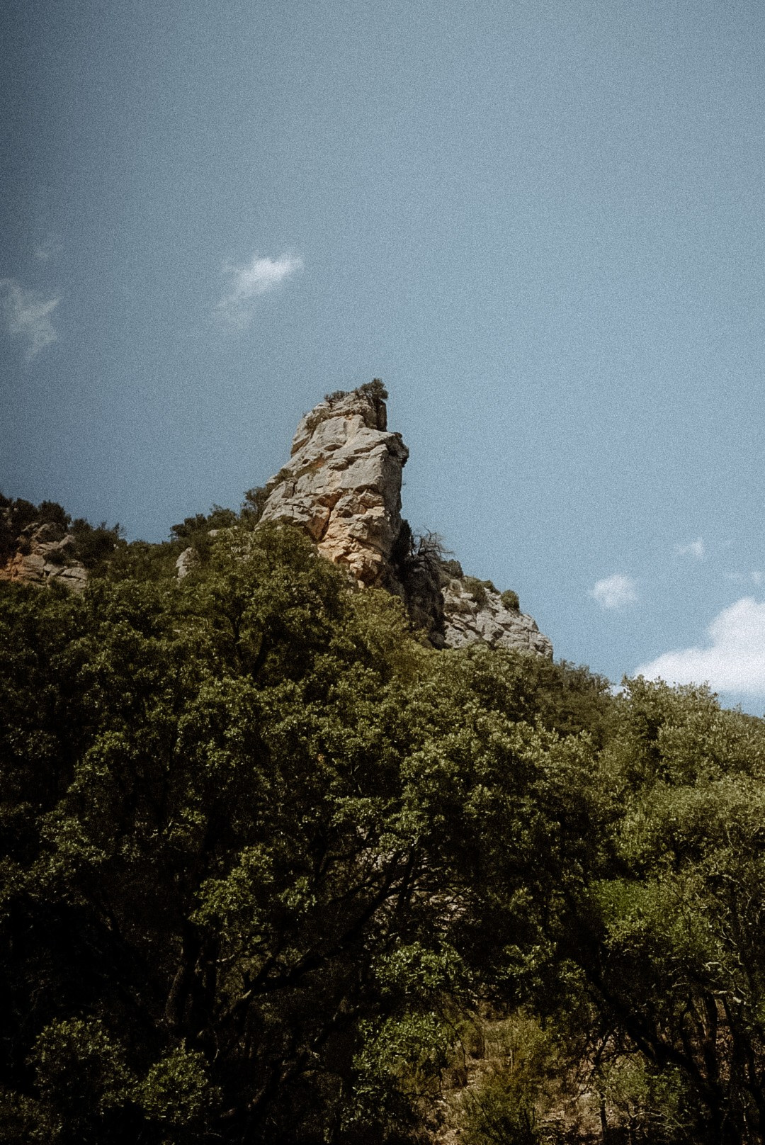 Le Verdon (Quinson, Esparron). Photographe à la Seyne sur Mer, Var