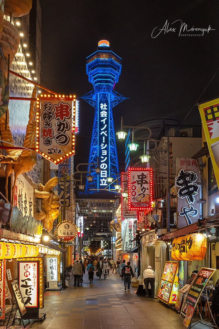 Hanami Season in Japan. Pet, Senior, Landscape, portrait studio, photographer in Miami and Sou