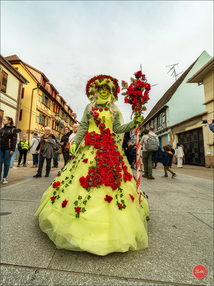 Carnaval venitien de Rosheim 2024. Photographe à Strasbourg | Portraits, Studio, Enfants, Événements