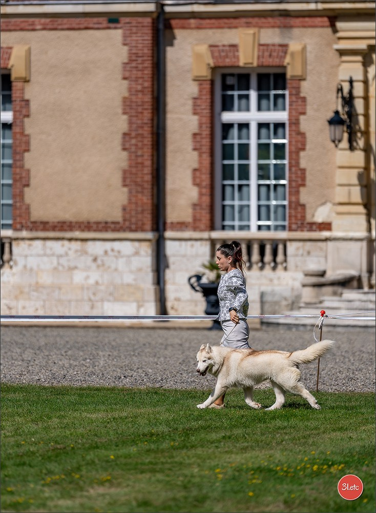 🇫🇷  CHARTRES  🇫🇷  2026  🇫🇷  Exposition Canine Nationale - Château des Boulard