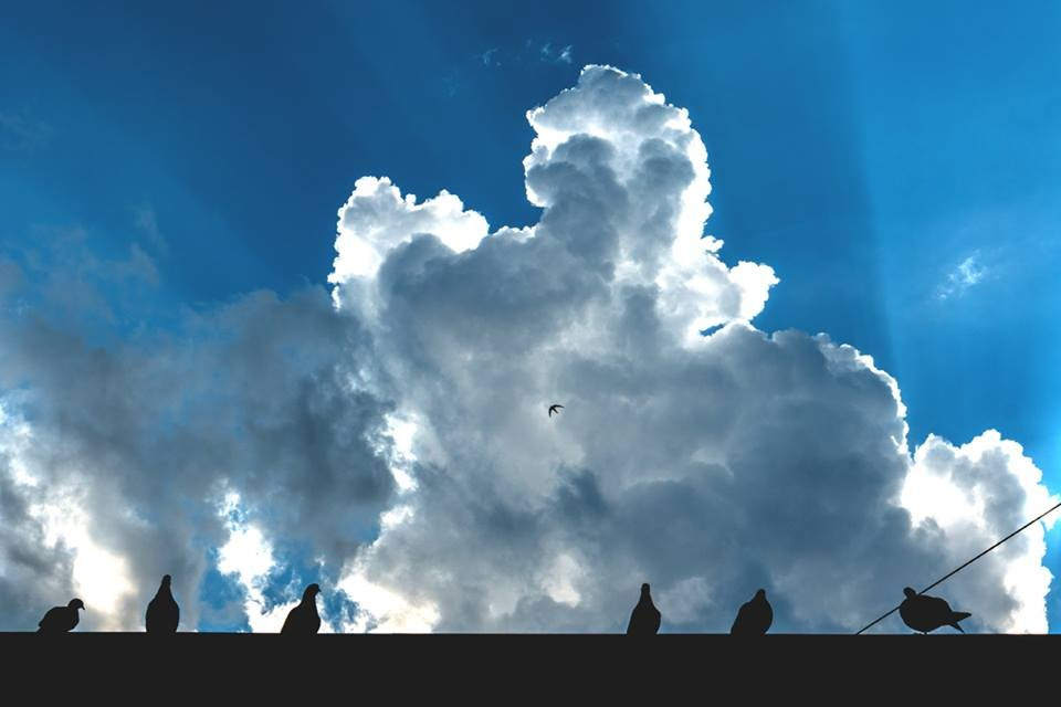 Bocetos. Alba del Norte Studio