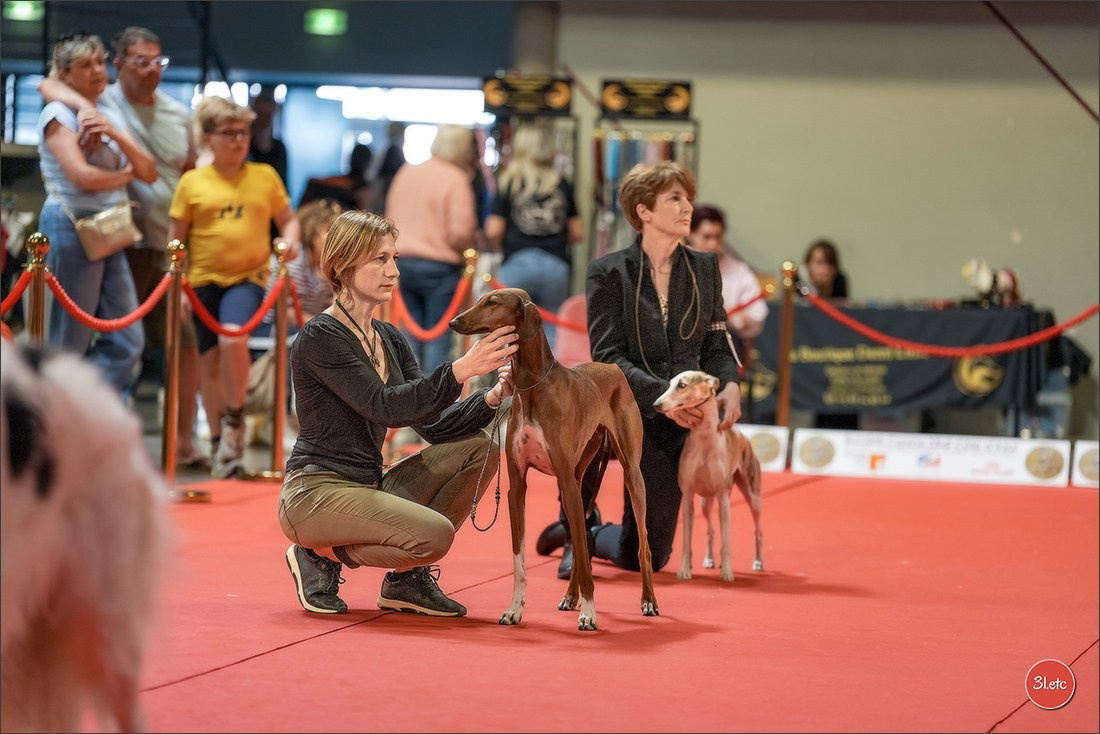 Expo canine 🇫🇷 Martigues 18-19/04/2026