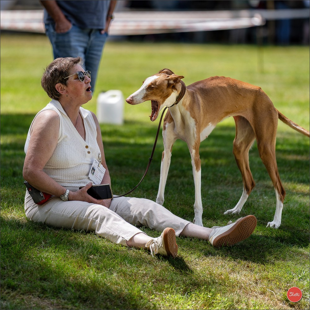 🇫🇷  CHARTRES  🇫🇷  2026  🇫🇷  Exposition Canine Nationale - Château des Boulard