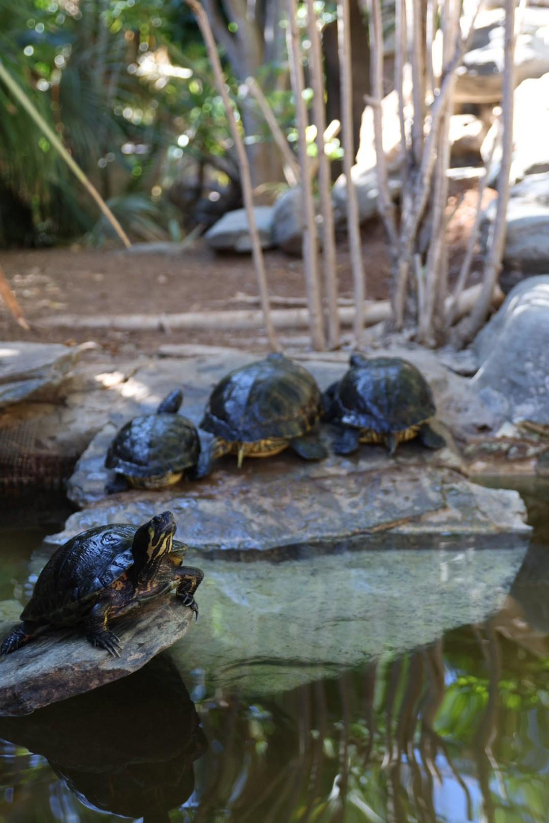 Gran Canaria 2024. Марина фотограф из Нюрнберга