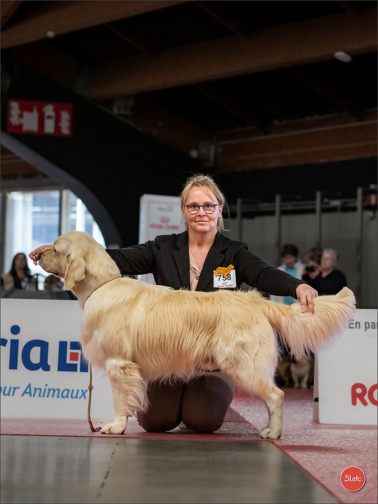 🇫🇷Exposition Canine Internationale de Perpignan. Photographe à Strasbourg | Portraits, Studio, Enfants, Événements
