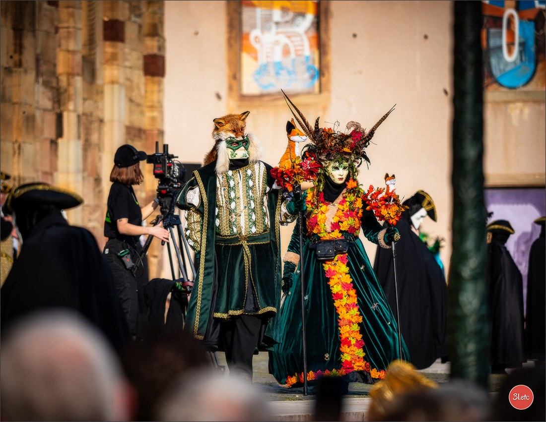 Carnaval vénitien de Rosheim 2026. Photographe à Strasbourg | Portraits, Studio, Enfants, Événements