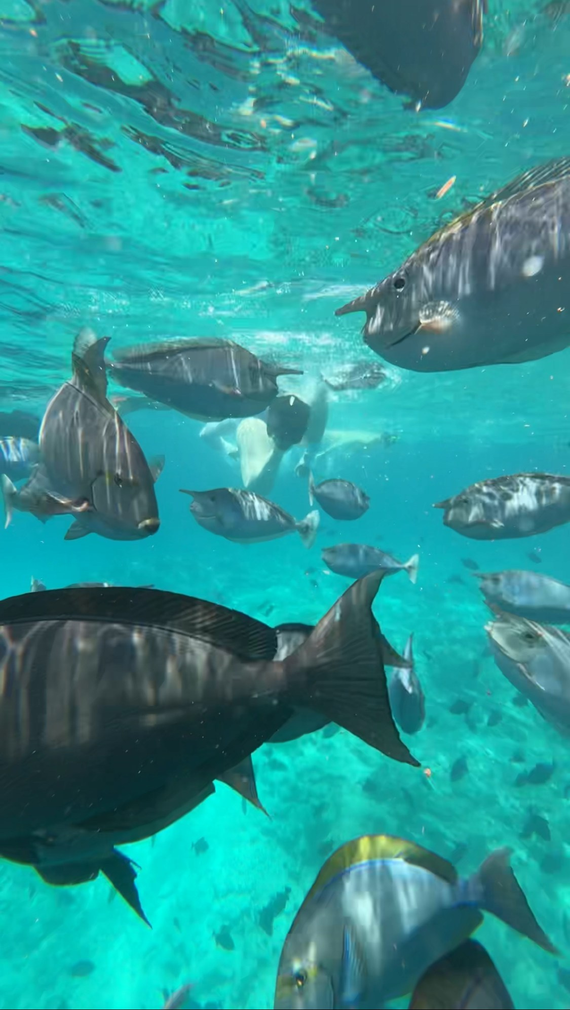 Maldives, Kuda Villingili. BNW Around Photography