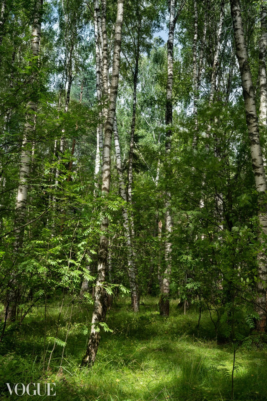 Сказка подмосковного леса. Суть фотографии в стиле изобразительного искусства