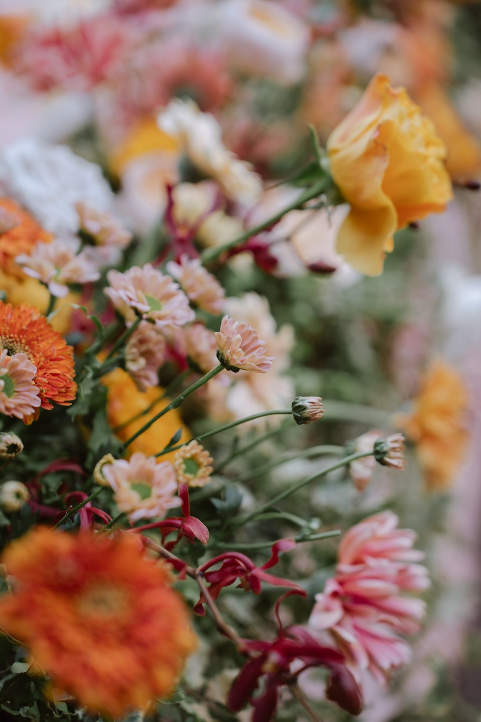 NICOLAS & LUCIE. WEDDING PHOTOGRAPHER IN VIETNAM