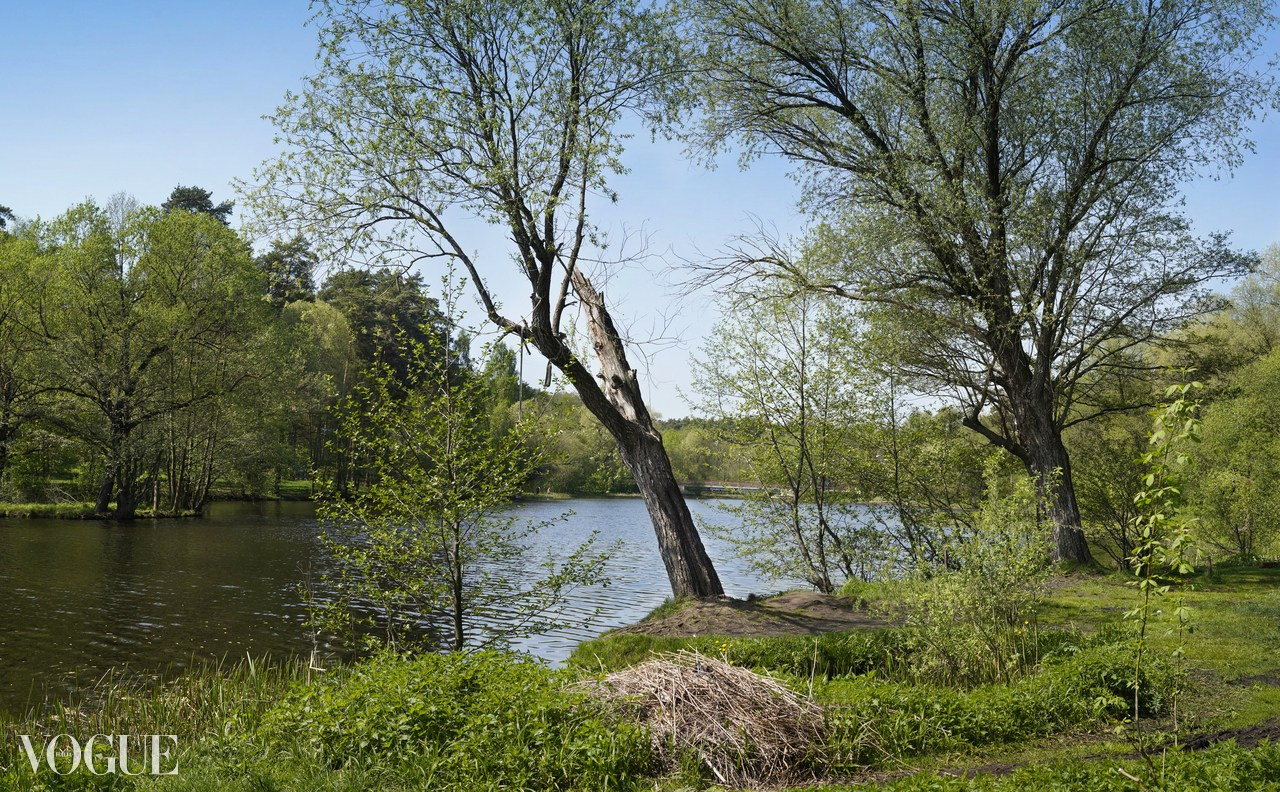 Красота садов и парков. Суть фотографии в стиле изобразительного искусства