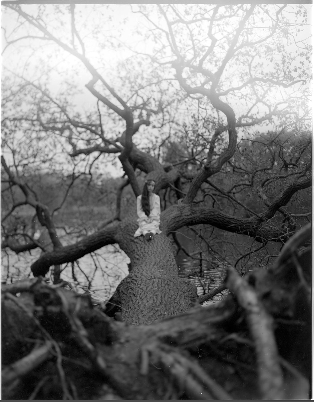 Forest Exposure. Professional Photographer, Videographer in London Dilyana Tankova