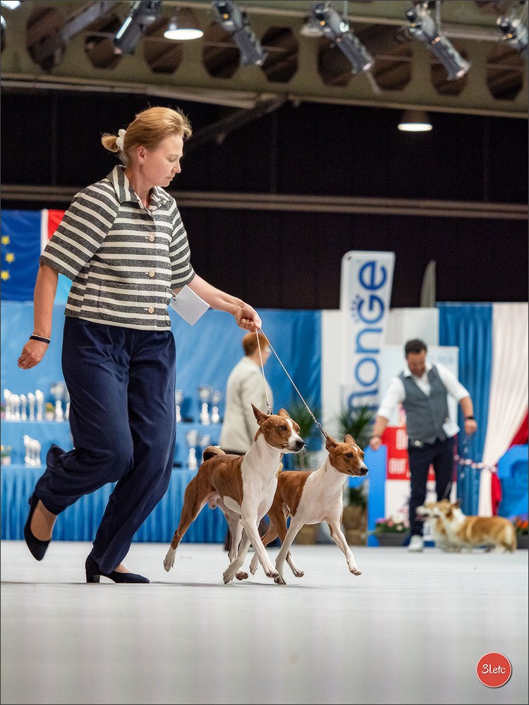 🇱🇺 LUXEMBOURG 🇱🇺 International Dog Show 🇱🇺 30/08 - 31/08/2025. Photographe à Strasbourg | Portraits, Studio, Enfants, Événements