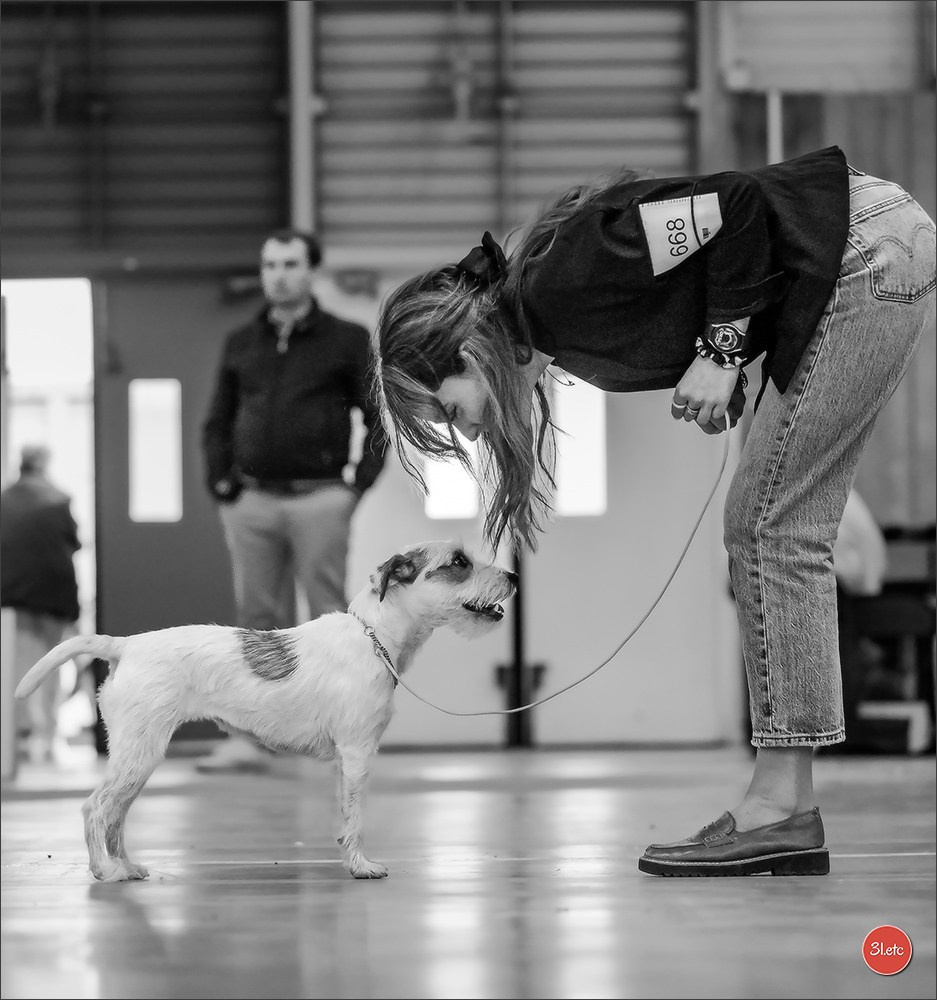 PDS  🇫🇷  Paris Dog Show  🇫🇷  Expo canine  10-11/01/2026. Photographe à Strasbourg | Portraits, Studio, Enfants, Événements