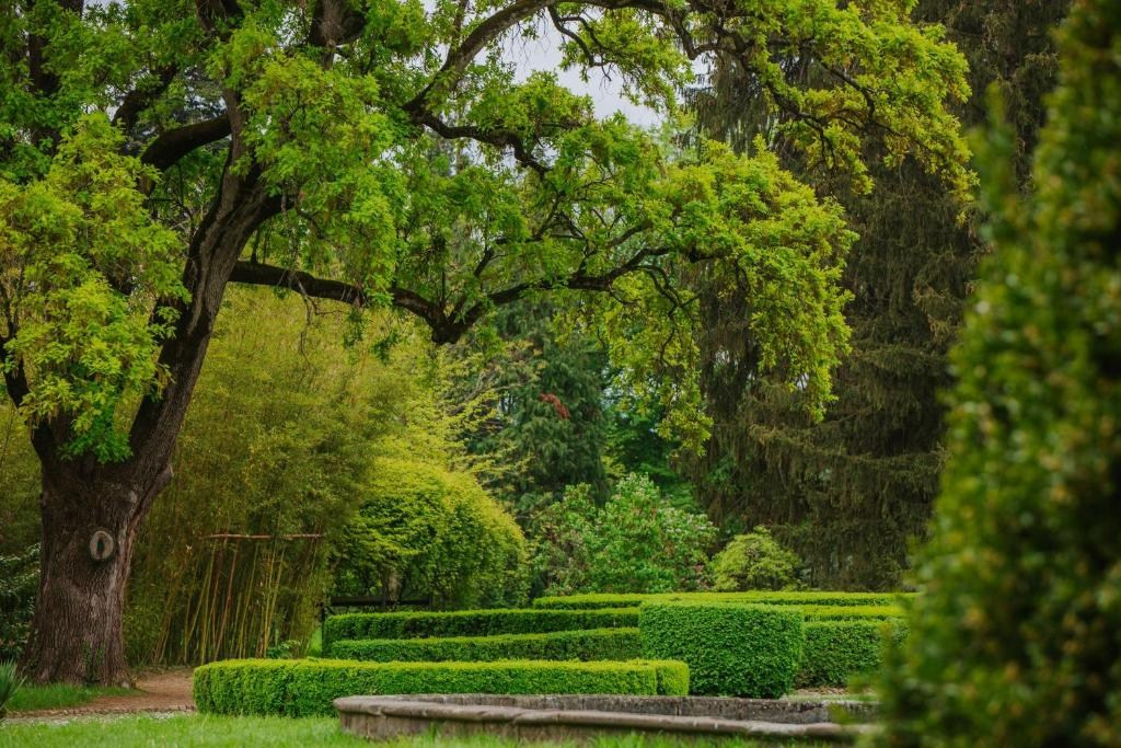 Tsinandali Estate. Главная