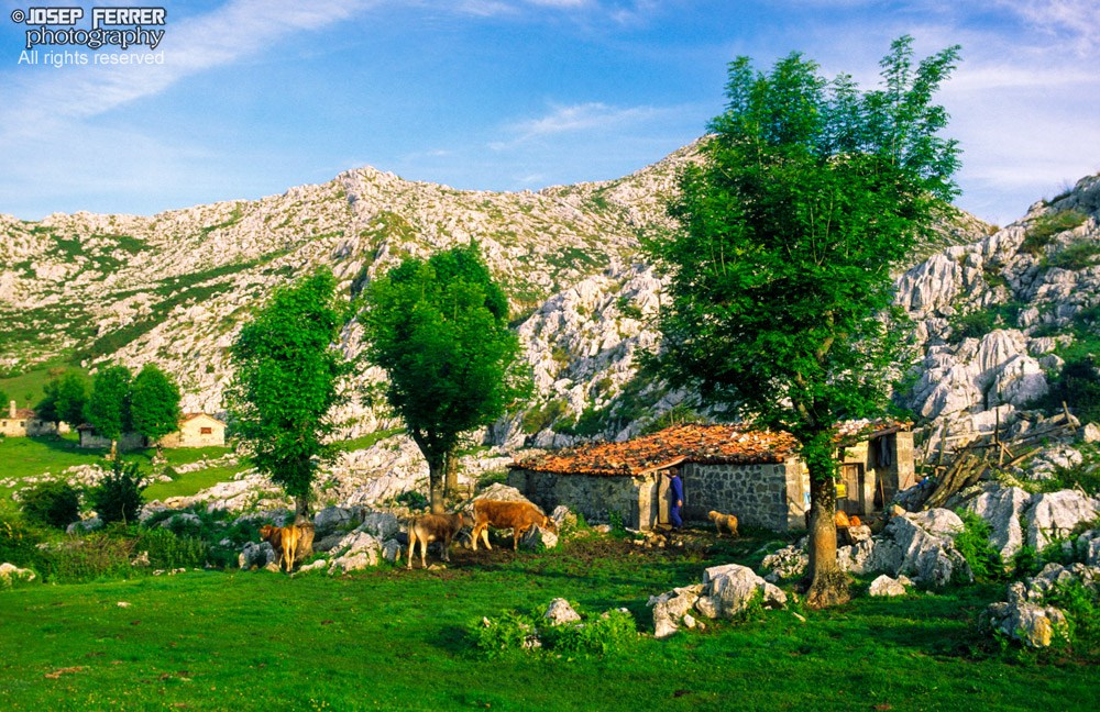 Shepherd cabin, Picos de europa national park, Asturias