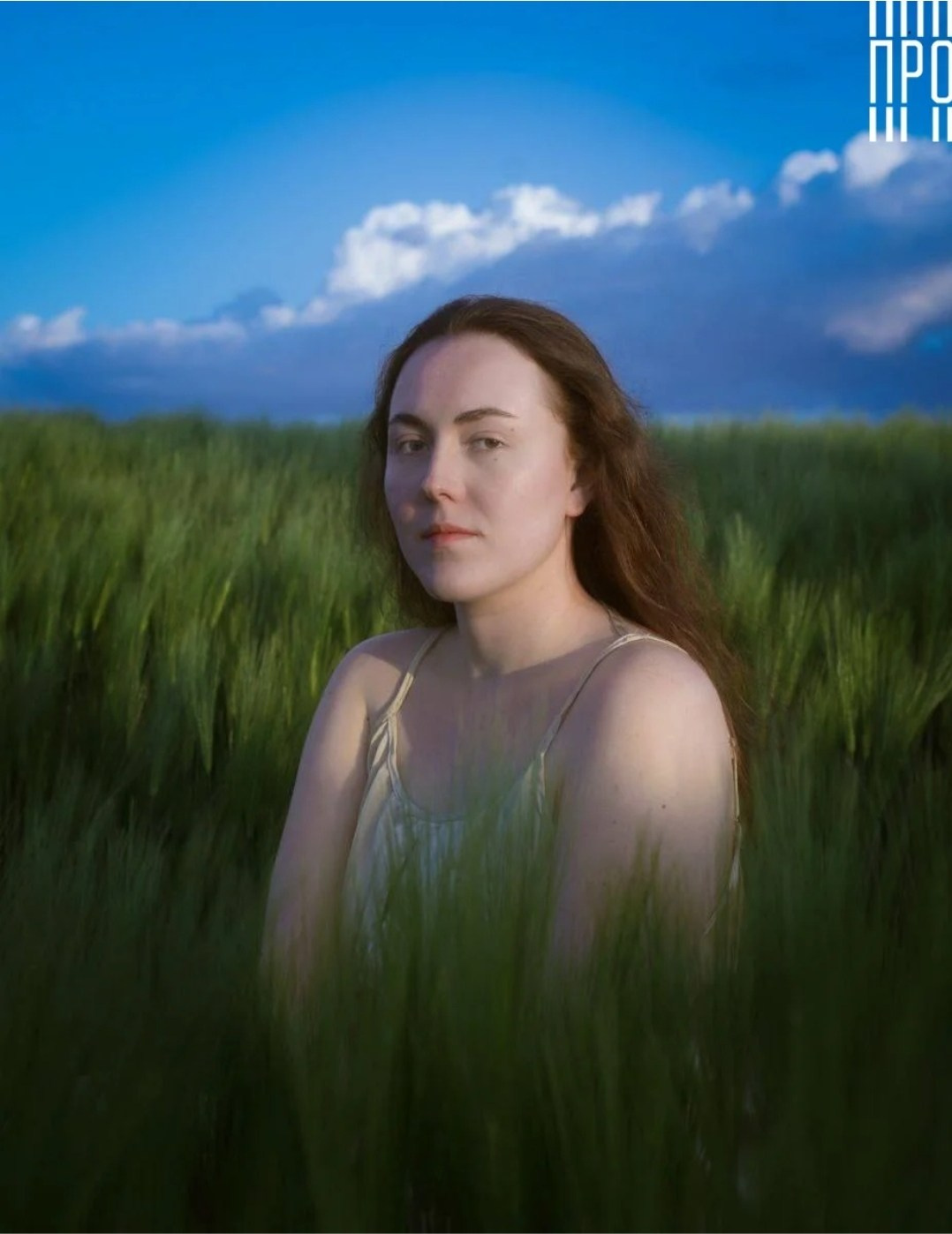 Online Publications. Jelena Kintero ART