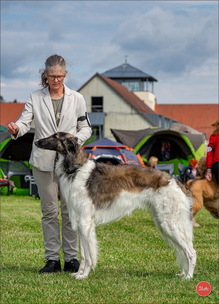 Dog Show Rieden 🇩🇪 16-18/05/2025. Photographe à Strasbourg | Portraits, Studio, Enfants, Événements