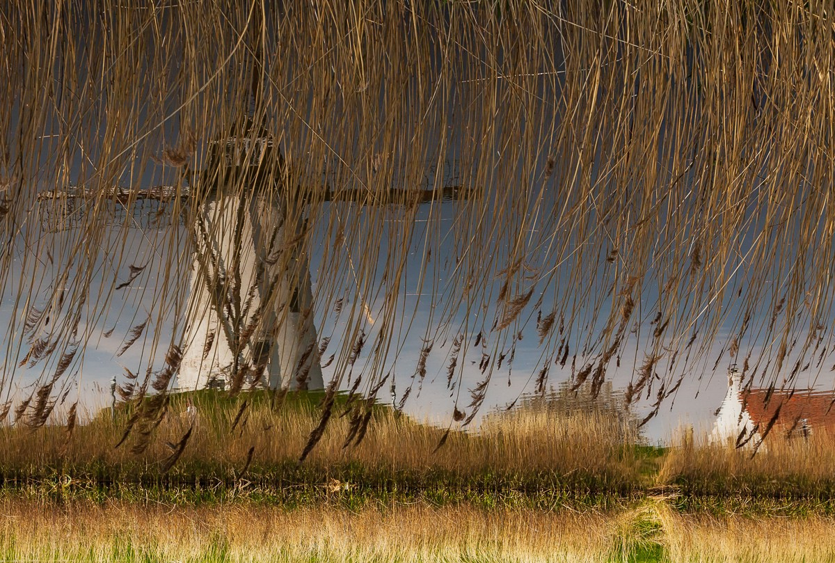 Работы учеников. Фотограф и преподаватель фотографии в Белграде