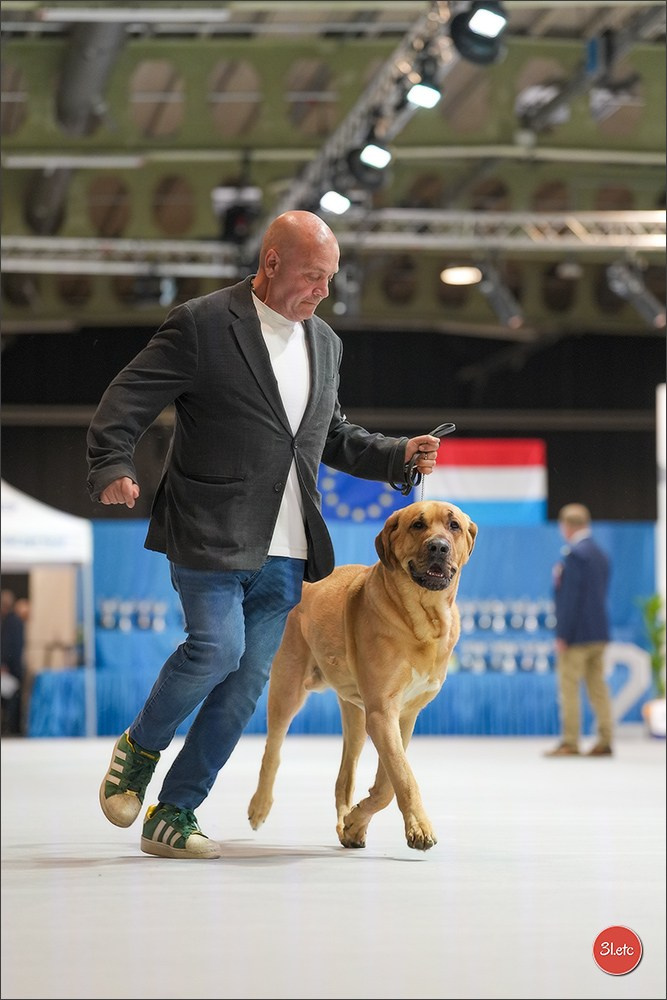 🇱🇺 LUXEMBOURG 🇱🇺 International Dog Show 4-5/04/2026. Photographe à Strasbourg | Portraits, Studio, Enfants, Événements