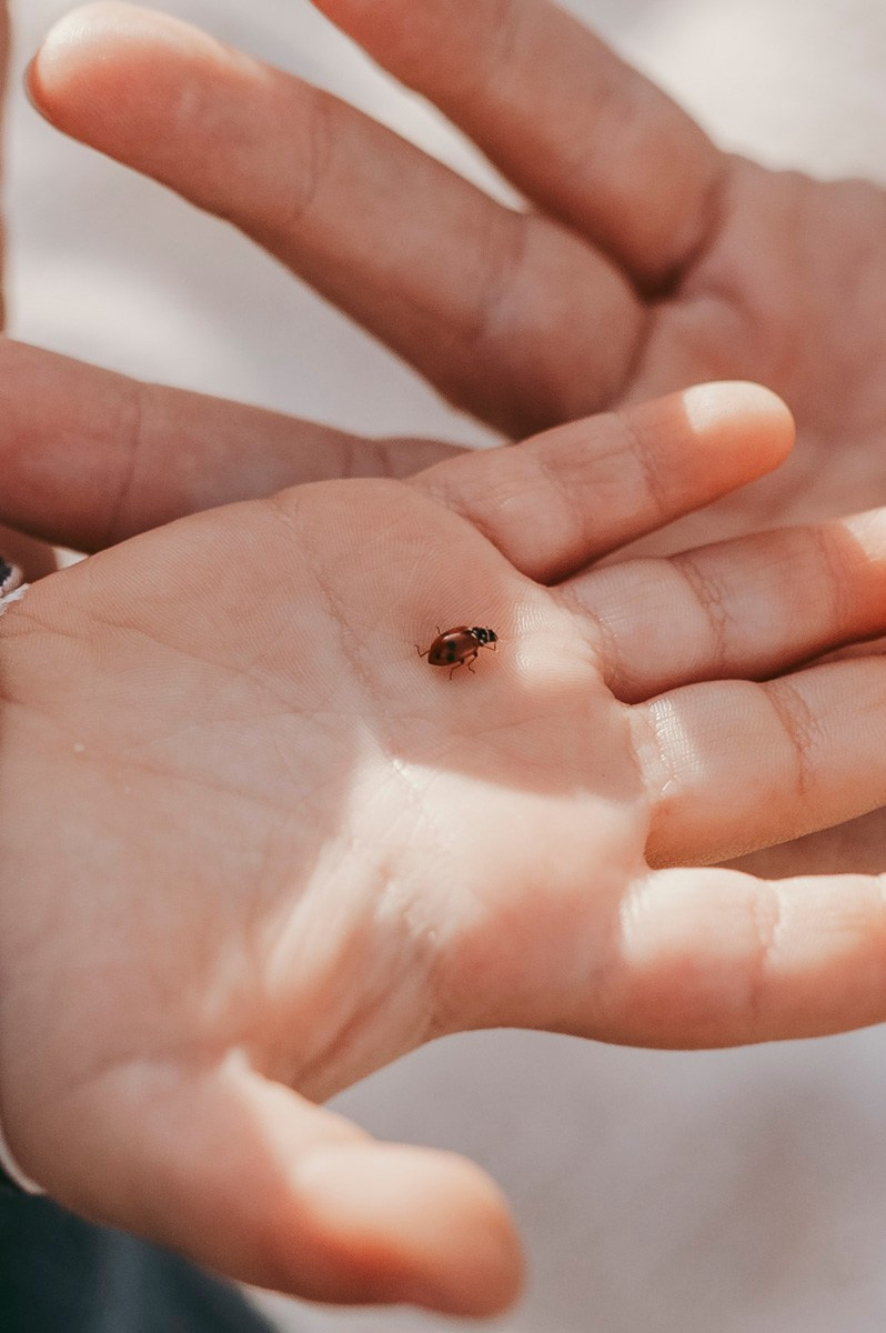 Aleksandra, Filip, Lion i Luka / PORODICNOFOTOGRAFISANJE napolju. Deciji i porodicni fotograf u Beogradu Oksana Skendzic