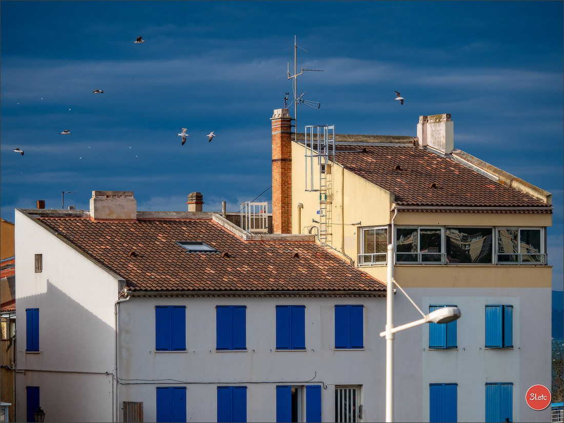 Martigues 19-20/04/2025. Photographe à Strasbourg | Portraits, Studio, Enfants, Événements