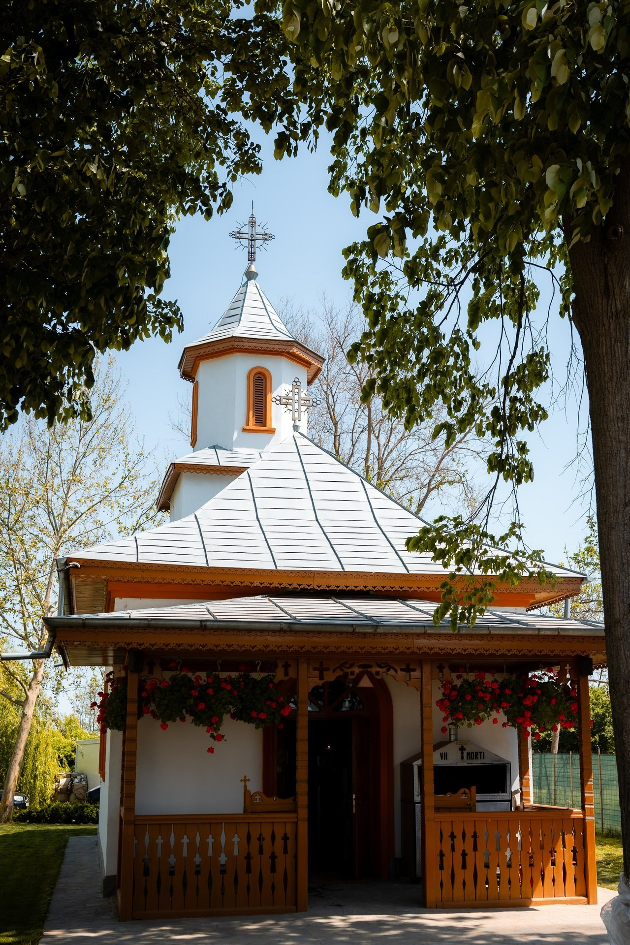 Opinii. Bordeiionutfotograf