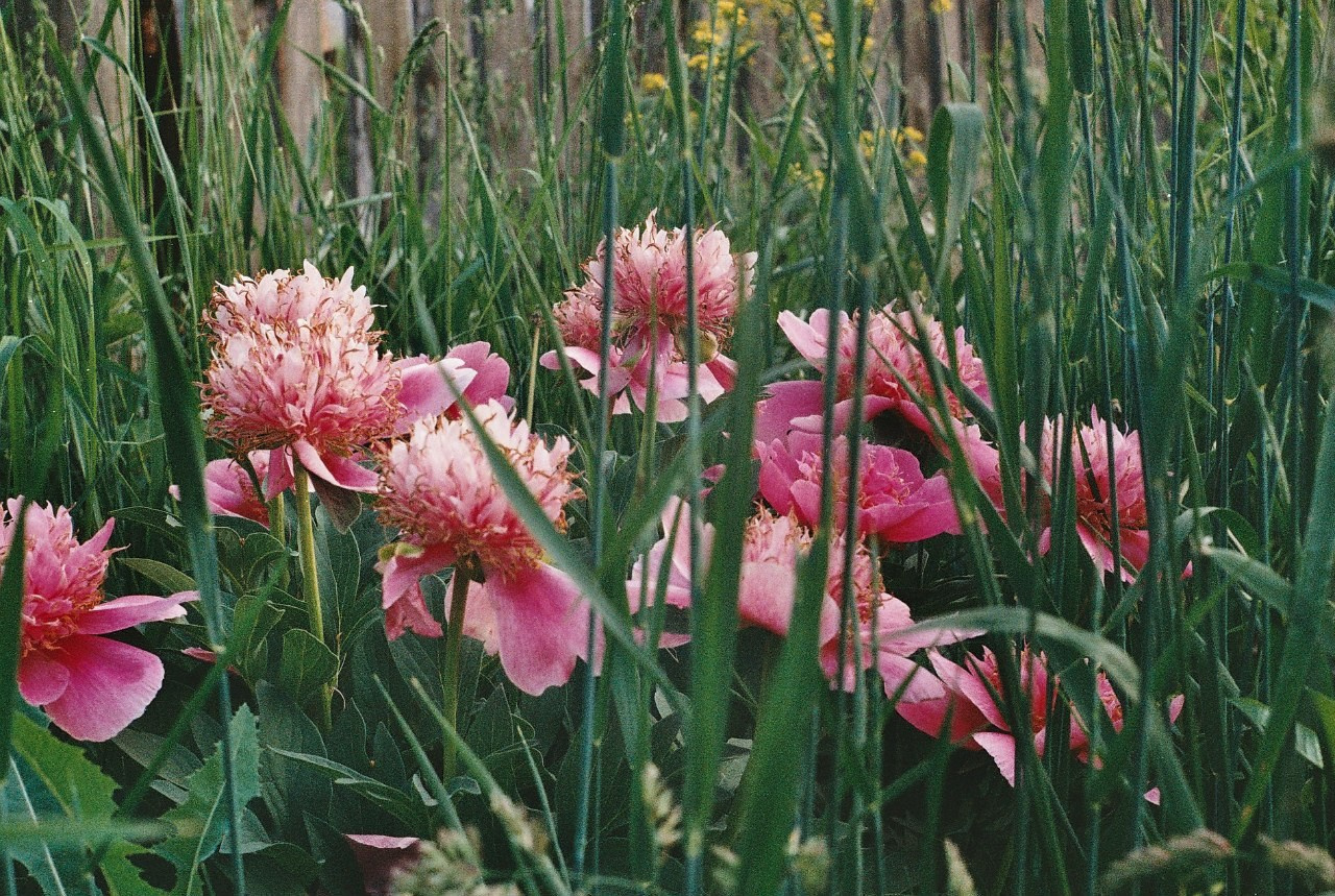Ochyor (Perm region, Russia) 2013. Elena Zykova film photographer in London
