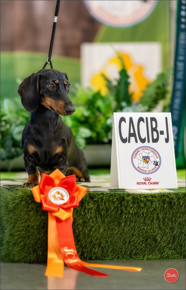 Expo canine 🇫🇷 Valence 02-03/05/2026