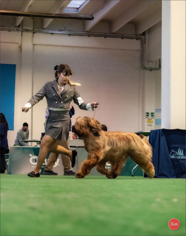 Dog Show  🇮🇹  San Marino. Photographe à Strasbourg | Portraits, Studio, Enfants, Événements