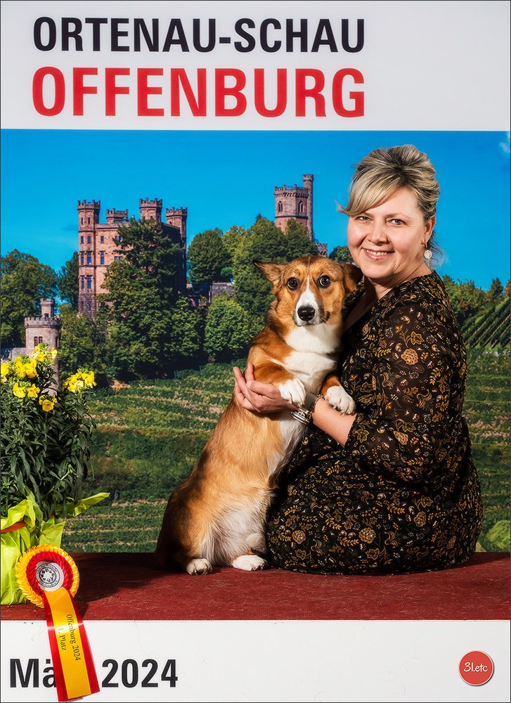 🇩🇪 Offenburg  International Dogshow 09-10.03.24 🇩🇪. Photographe à Strasbourg | Portraits, Studio, Enfants, Événements