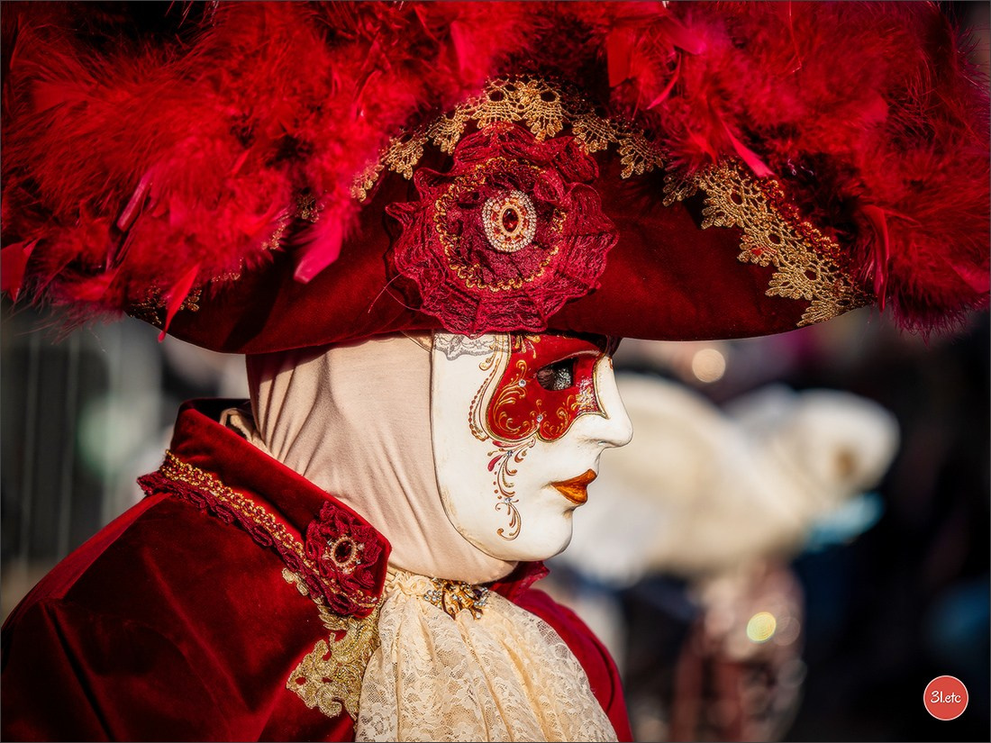 Carnaval vénitien de Rosheim 2026. Photographe à Strasbourg | Portraits, Studio, Enfants, Événements