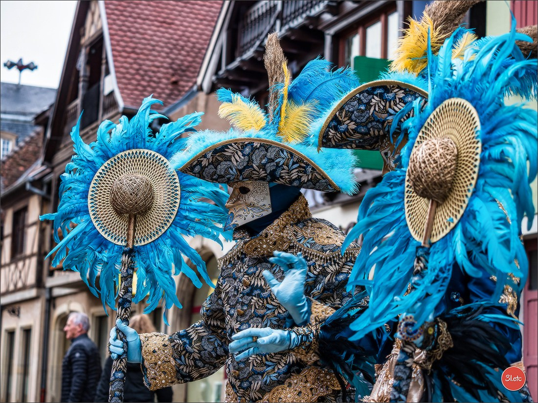 Carnaval venitien de Rosheim 2024. Photographe à Strasbourg | Portraits, Studio, Enfants, Événements