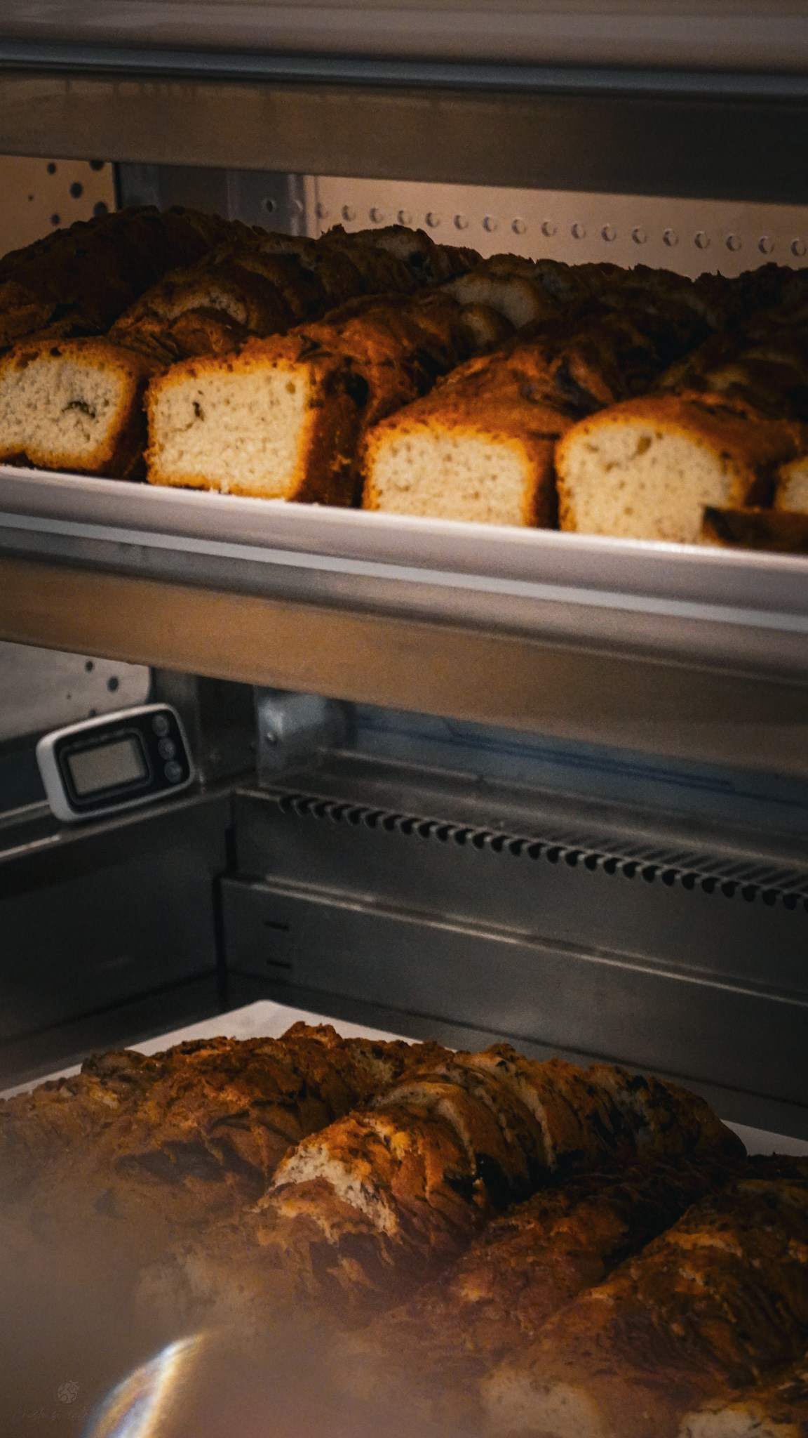 Bacolux Koralyo. Creste si calatoreste