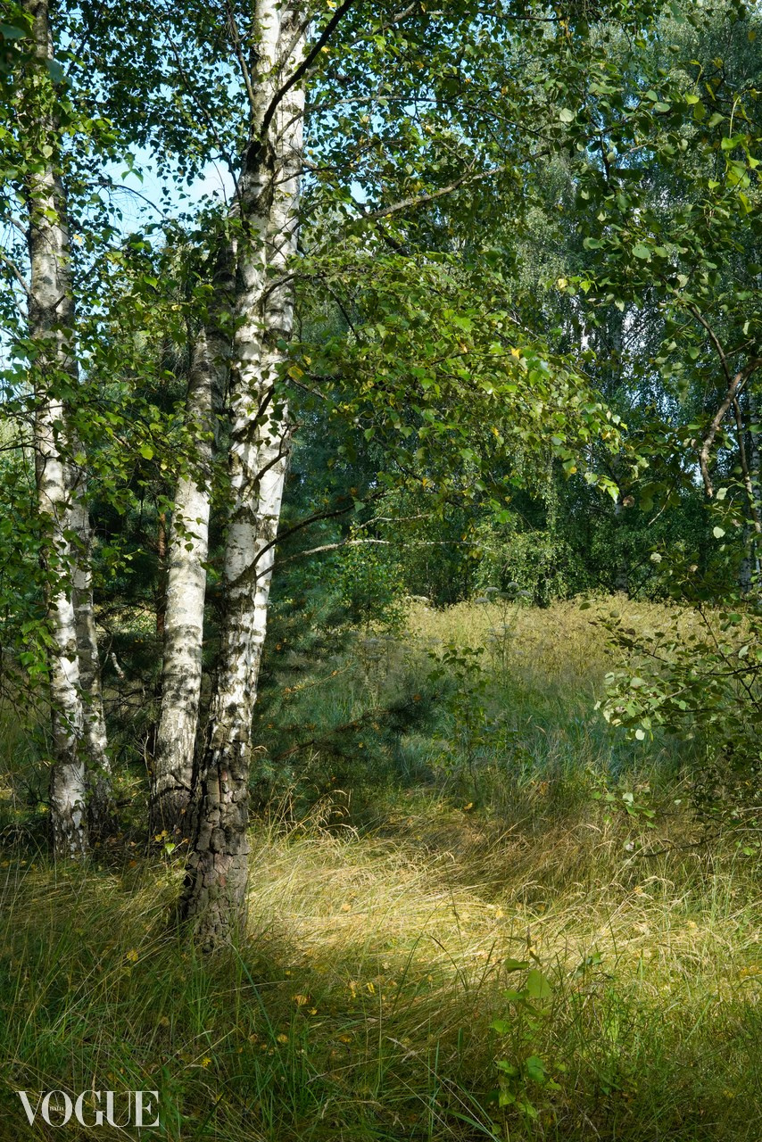 Сказка подмосковного леса. Суть фотографии в стиле изобразительного искусства