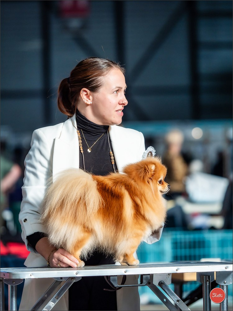 🇨🇭 Geneva Dog Show 15-17/11/2024. Photographe à Strasbourg | Portraits, Studio, Enfants, Événements
