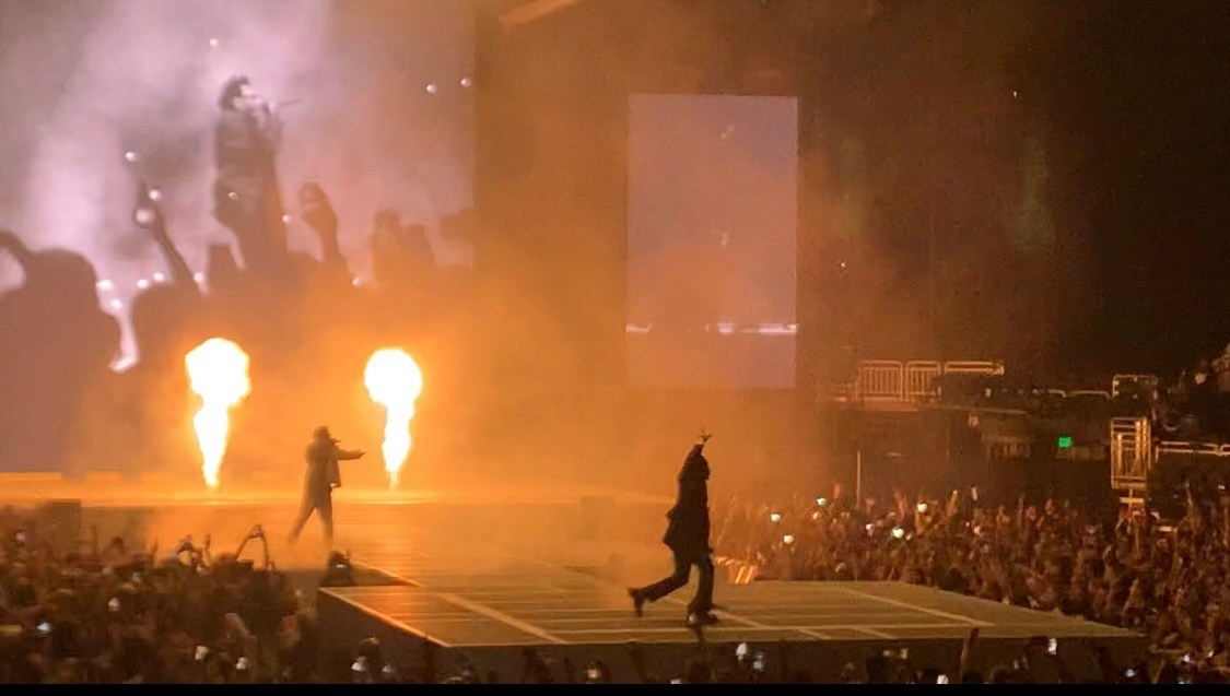 Lens Work From The Field 4