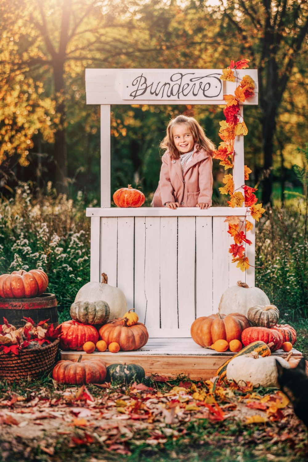 JESENJE FOTOGRAFISANJE. Fotografi iz Backog Petrovca David i Andrea Stojanovic