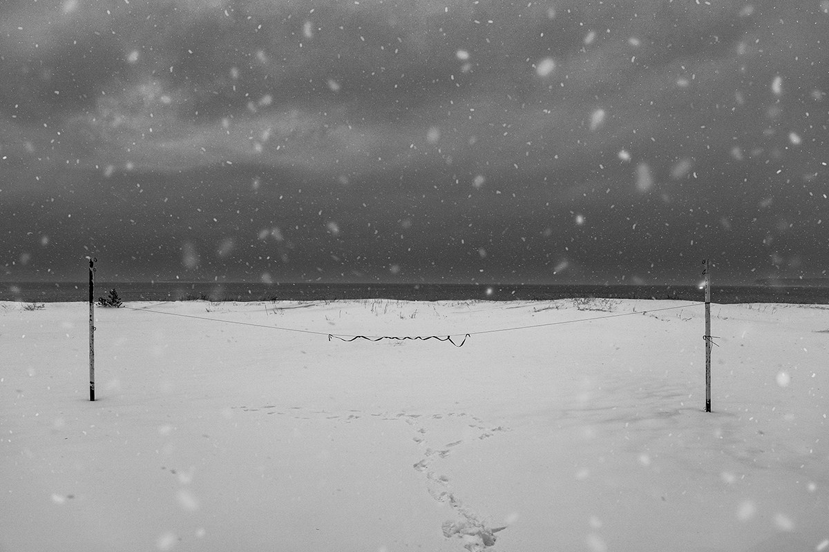 Catalogue of Forgone Objects. Jana Gertz