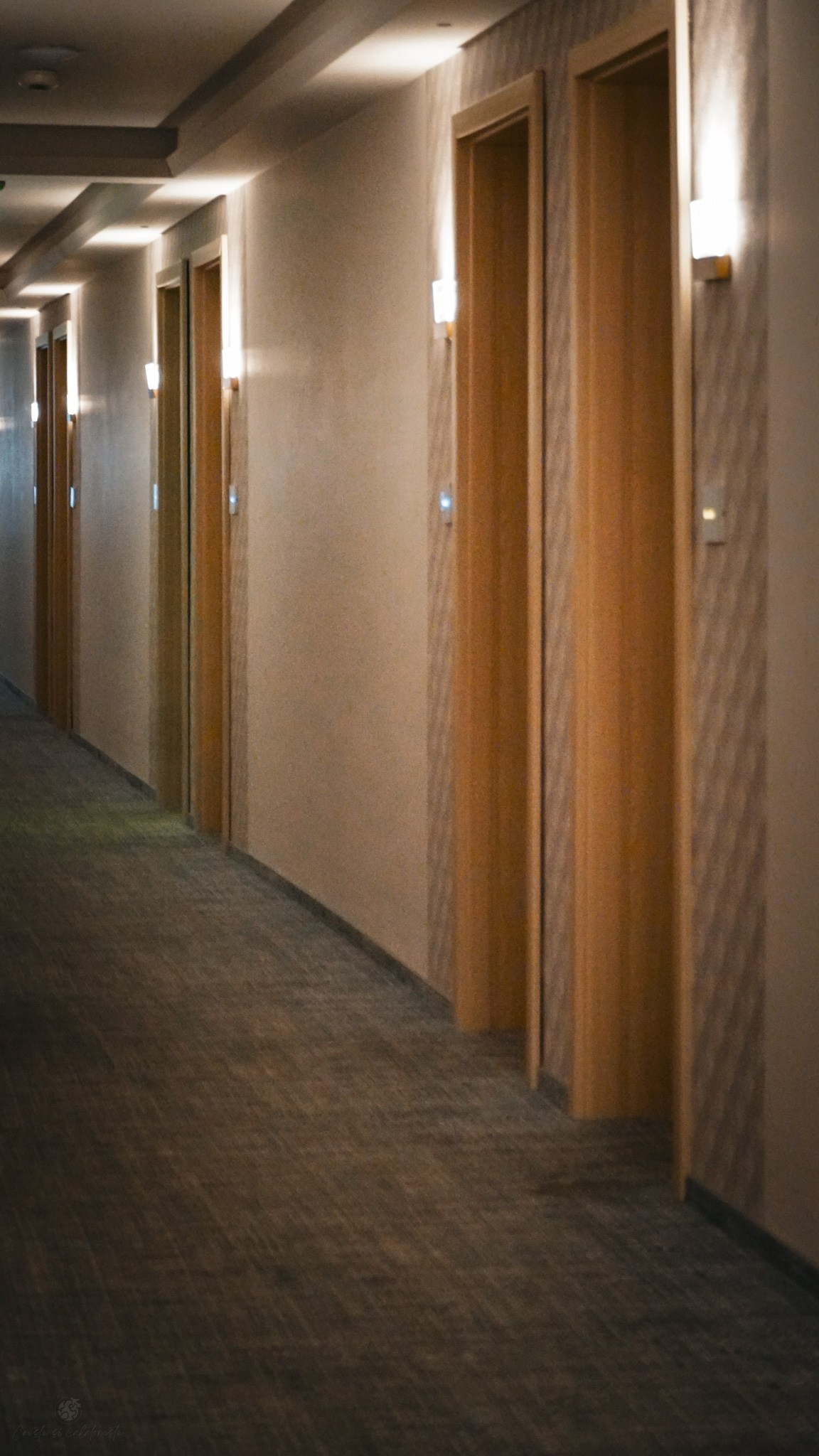 Bacolux Koralyo. Creste si calatoreste